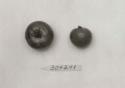 Click for 1 image(s) for this accession. FRUIT
